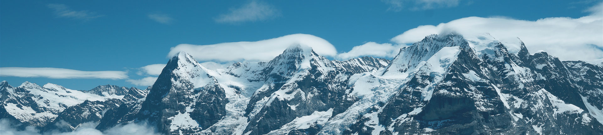 Textbeschrieb der Inhalte dieser Grafik