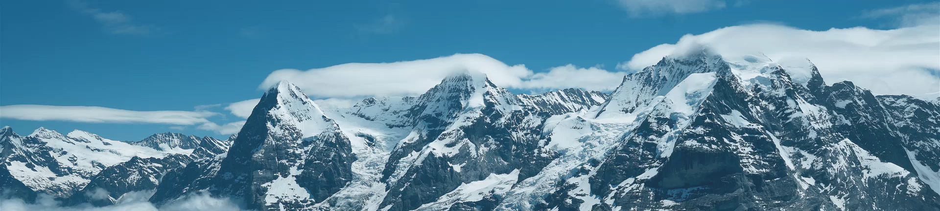 Textbeschrieb der Inhalte dieser Grafik