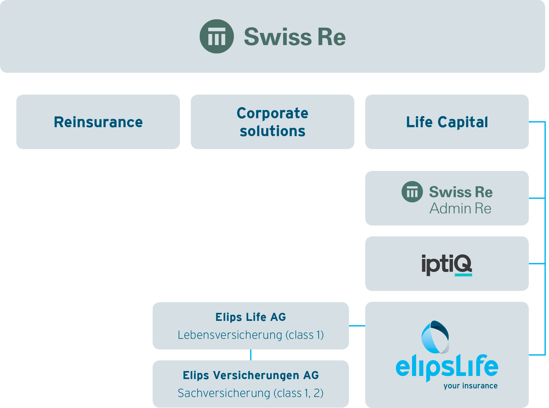Textbeschrieb der Inhalte dieser Grafik