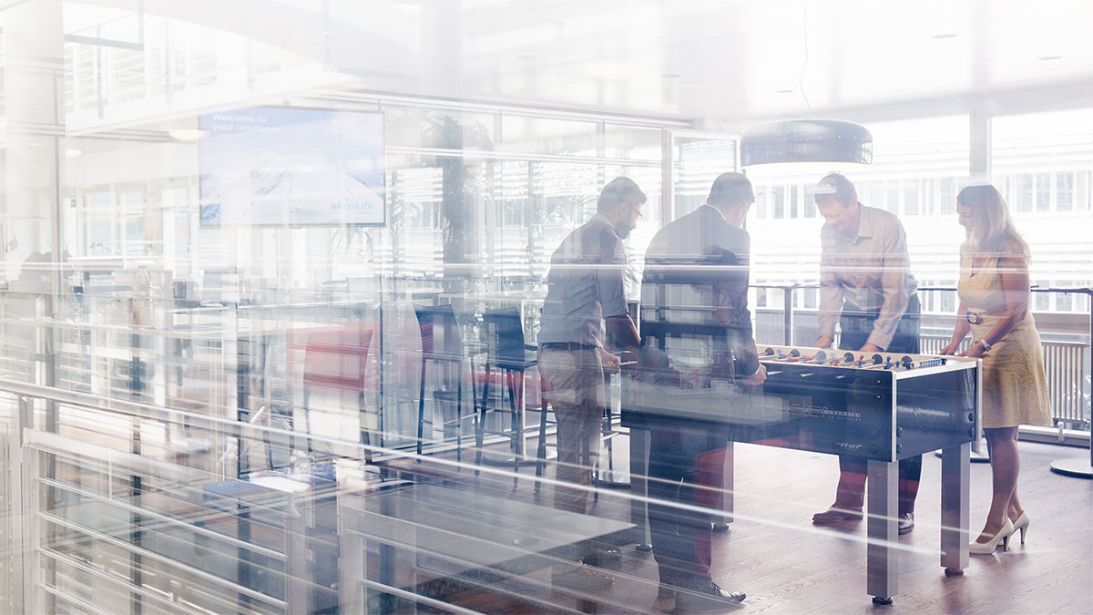 Textbeschrieb der Inhalte dieser Grafik