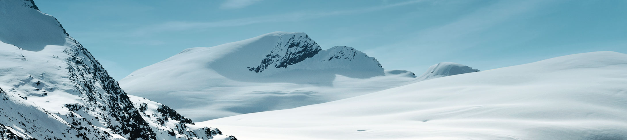 Textbeschrieb der Inhalte dieser Grafik