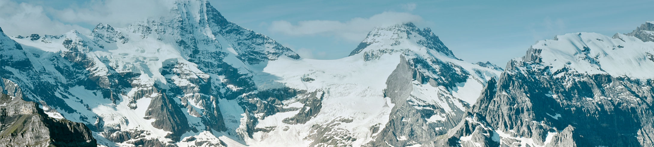 Textbeschrieb der Inhalte dieser Grafik