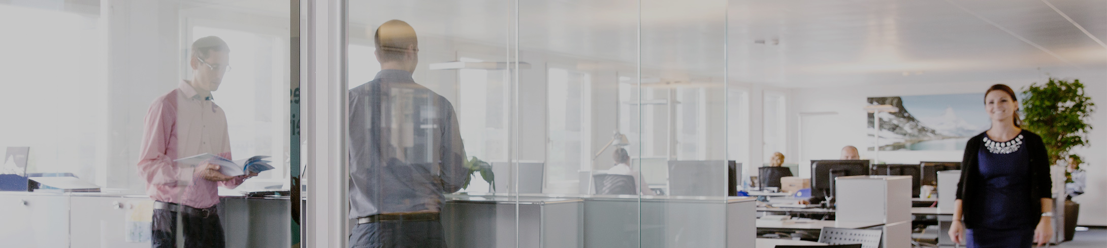 Textbeschrieb der Inhalte dieser Grafik