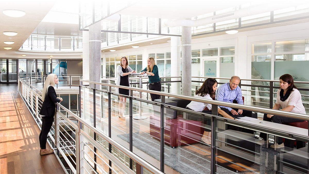 Textbeschrieb der Inhalte dieser Grafik